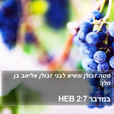 במדבר 2:7 HEB Bible Verse Image