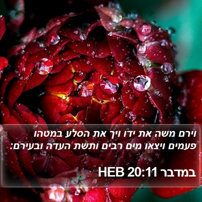 במדבר 20:11 HEB Bible Verse Image
