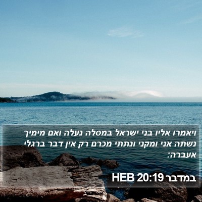 במדבר 20:19 HEB Bible Verse Image