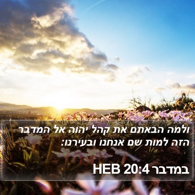 במדבר 20:4 HEB Bible Verse Image