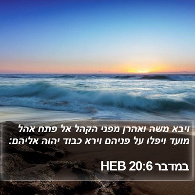במדבר 20:6 HEB Bible Verse Image