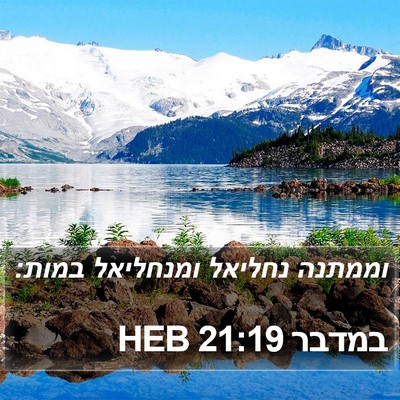 במדבר 21:19 HEB Bible Verse Image
