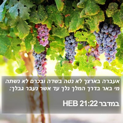 במדבר 21:22 HEB Bible Verse Image