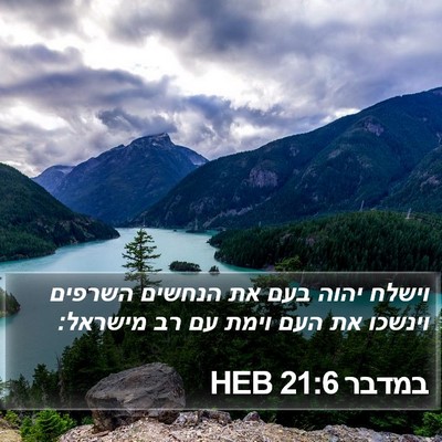 במדבר 21:6 HEB Bible Verse Image