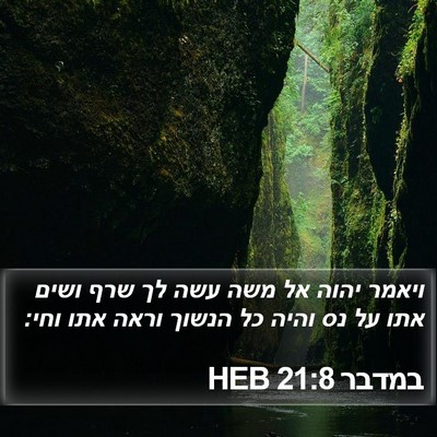 במדבר 21:8 HEB Bible Verse Image