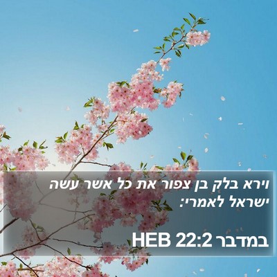 במדבר 22:2 HEB Bible Verse Image