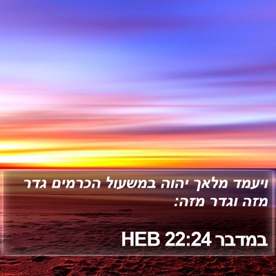 במדבר 22:24 HEB Bible Verse Image