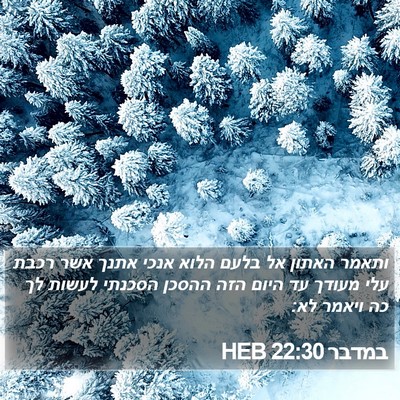 במדבר 22:30 HEB Bible Verse Image
