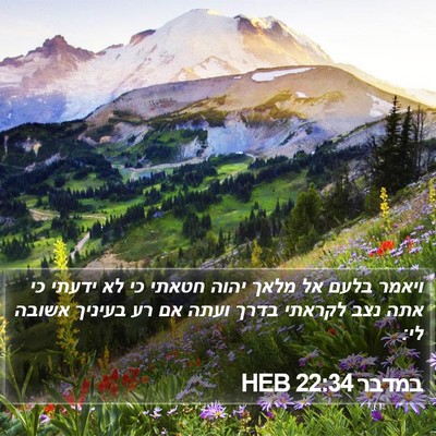 במדבר 22:34 HEB Bible Verse Image