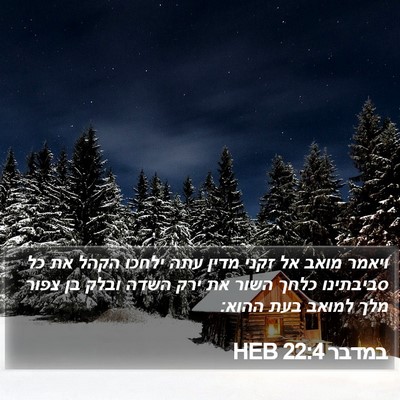 במדבר 22:4 HEB Bible Verse Image