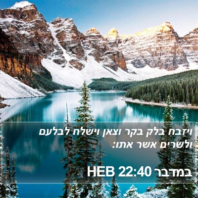 במדבר 22:40 HEB Bible Verse Image