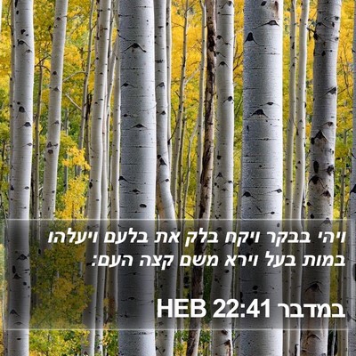 במדבר 22:41 HEB Bible Verse Image