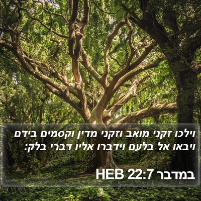 במדבר 22:7 HEB Bible Verse Image
