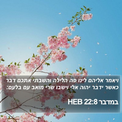 במדבר 22:8 HEB Bible Verse Image