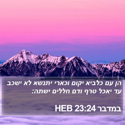 במדבר 23:24 HEB Bible Verse Image