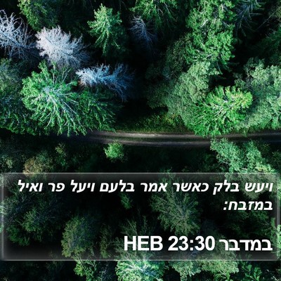 במדבר 23:30 HEB Bible Verse Image