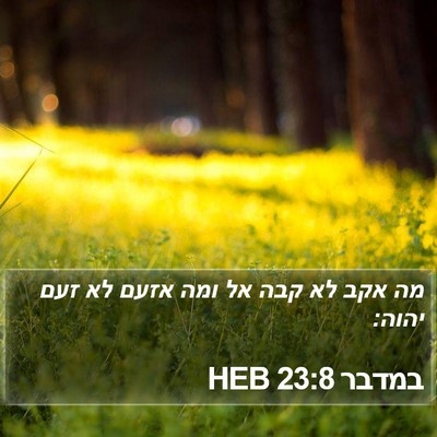 במדבר 23:8 HEB Bible Verse Image