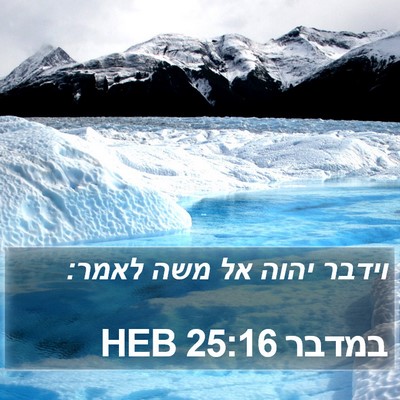 במדבר 25:16 HEB Bible Verse Image