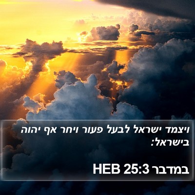 במדבר 25:3 HEB Bible Verse Image