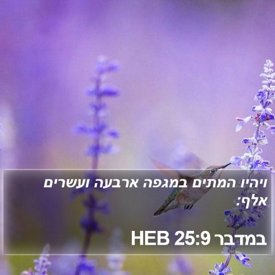 במדבר 25:9 HEB Bible Verse Image