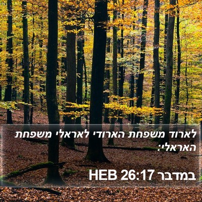 במדבר 26:17 HEB Bible Verse Image