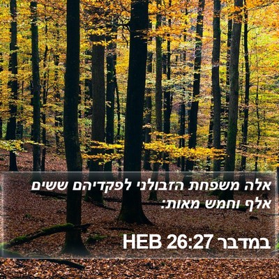 במדבר 26:27 HEB Bible Verse Image