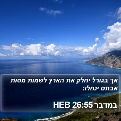במדבר 26:55 HEB Bible Verse Image