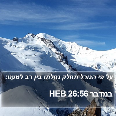 במדבר 26:56 HEB Bible Verse Image