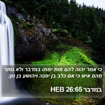 במדבר 26:65 HEB Bible Verse Image