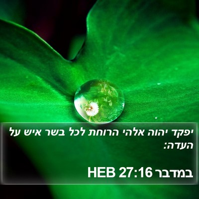 במדבר 27:16 HEB Bible Verse Image