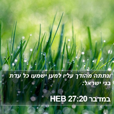 במדבר 27:20 HEB Bible Verse Image