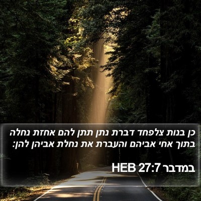 במדבר 27:7 HEB Bible Verse Image