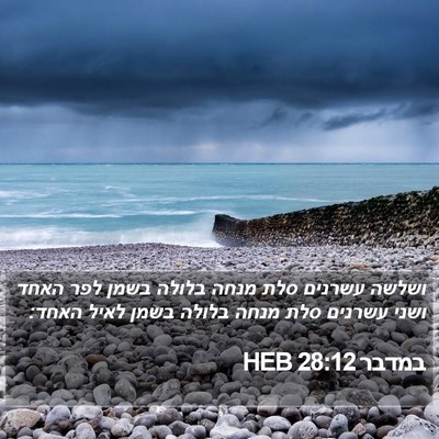 במדבר 28:12 HEB Bible Verse Image