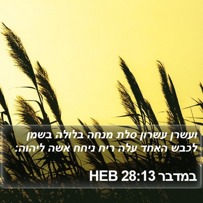 במדבר 28:13 HEB Bible Verse Image