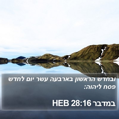 במדבר 28:16 HEB Bible Verse Image