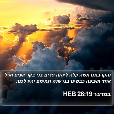 במדבר 28:19 HEB Bible Verse Image