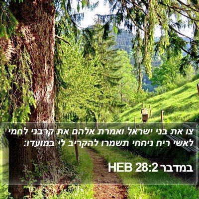 במדבר 28:2 HEB Bible Verse Image
