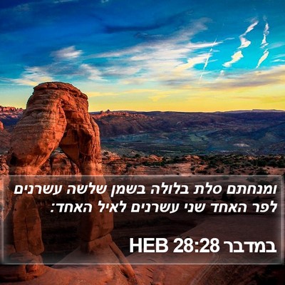במדבר 28:28 HEB Bible Verse Image