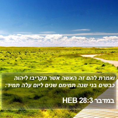 במדבר 28:3 HEB Bible Verse Image