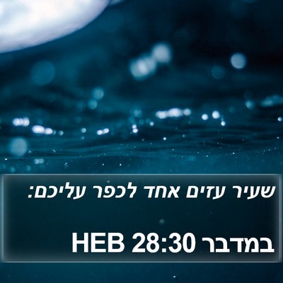 במדבר 28:30 HEB Bible Verse Image
