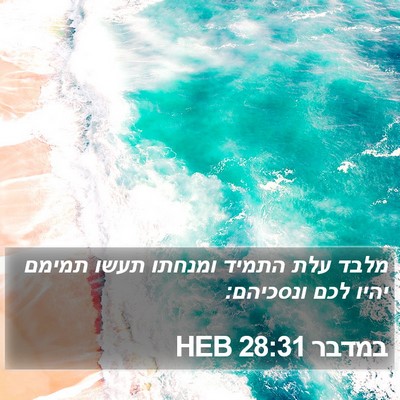 במדבר 28:31 HEB Bible Verse Image