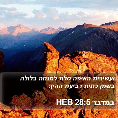 במדבר 28:5 HEB Bible Verse Image
