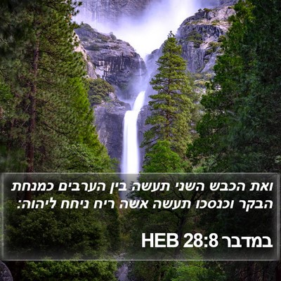 במדבר 28:8 HEB Bible Verse Image