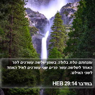 במדבר 29:14 HEB Bible Verse Image