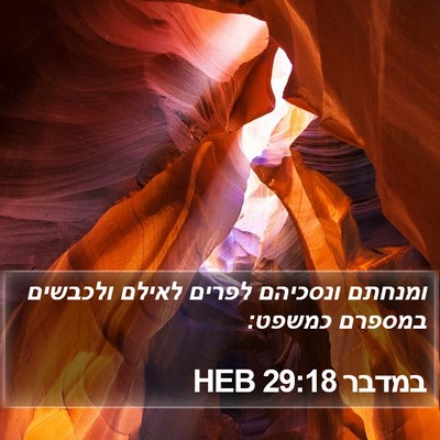 במדבר 29:18 HEB Bible Verse Image