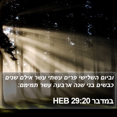 במדבר 29:20 HEB Bible Verse Image