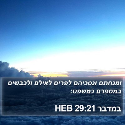 במדבר 29:21 HEB Bible Verse Image