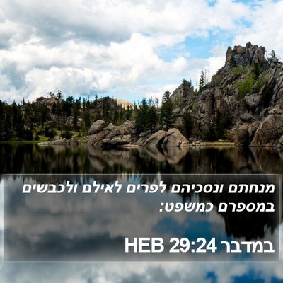 במדבר 29:24 HEB Bible Verse Image