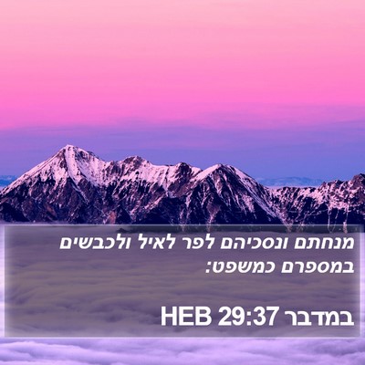 במדבר 29:37 HEB Bible Verse Image