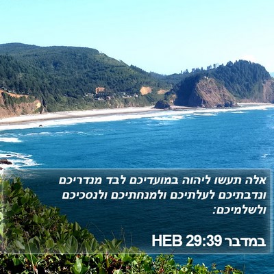 במדבר 29:39 HEB Bible Verse Image